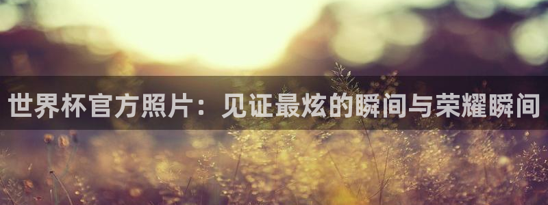 免费看足球直播比赛:世界杯官方照片:见证最炫的瞬间与荣耀瞬间