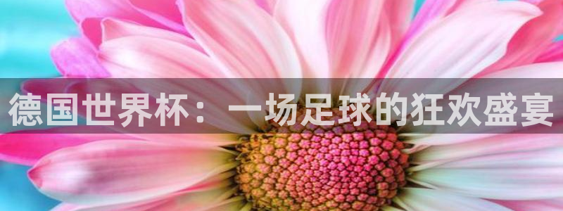 世预赛免费直播入口:德国世界杯:一场足球的狂欢盛宴