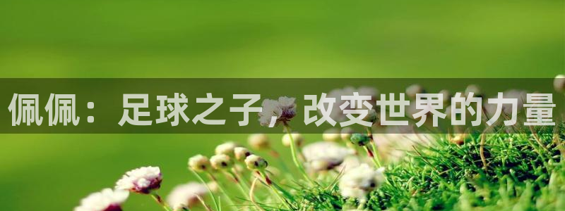 2026年男足世界杯:佩佩:足球之子,改变世界的力量