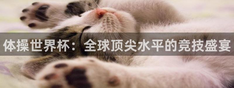 今天所有足球赛程表:体操世界杯:全球顶尖水平的竞技盛宴