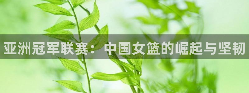 世界杯女足直播:亚洲冠军联赛:中国女篮的崛起与坚韧