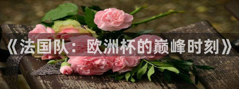世预赛欧洲赛程表:《法国队:欧洲杯的巅峰时刻》