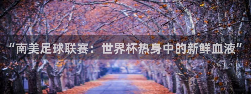 2006世界杯:“南美足球联赛:世界杯热身中的新鲜血液”